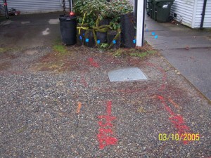 leak-detection-bothell-wa