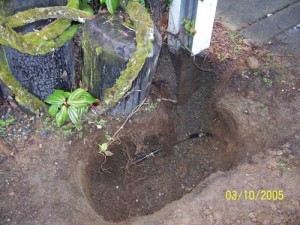 water-leak-bothell-wa