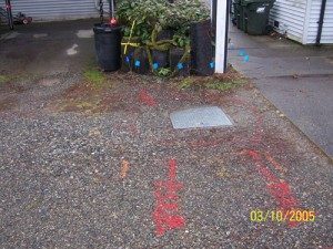 leak-detection-arlington-wa